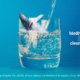 biodiversity is clean water: whale inside a glass of water